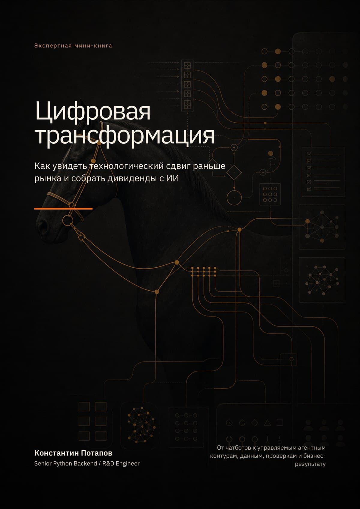 «Digital Transformation» book cover by Constantin Potapov